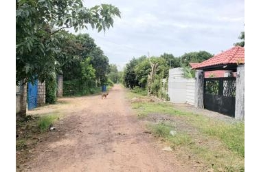 Sát QL22 - Tân Thông Hội- Củ Chi - 2000m2 - Phân Lô- Chỉ 20.5 Tỷ TL